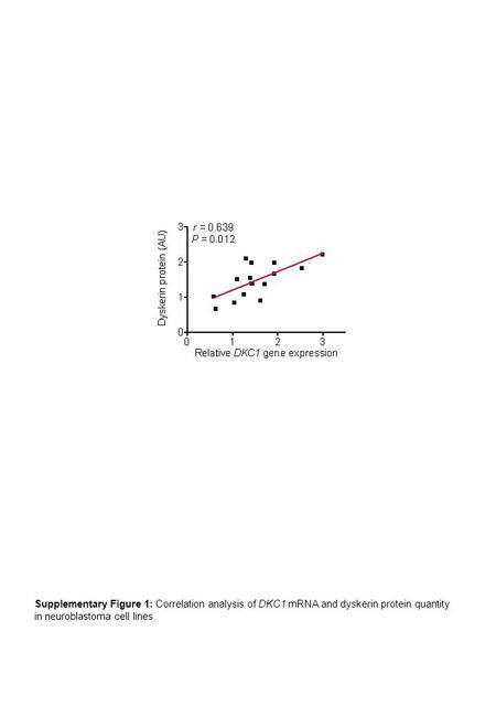 Supplementary Figure 1: Correlation analysis of DKC1 mRNA and dyskerin protein quantity in neuroblastoma cell lines.