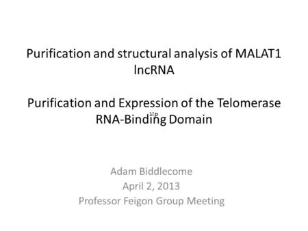 Purification and structural analysis of MALAT1 lncRNA Purification and Expression of the Telomerase RNA-Binding Domain Adam Biddlecome April 2, 2013 Professor.