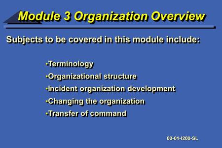 Module 3 Organization Overview Module 3 Organization Overview Subjects to be covered in this module include: Terminology Terminology Organizational structure.