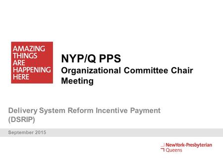 NYP/Q PPS Organizational Committee Chair Meeting Delivery System Reform Incentive Payment (DSRIP) September 2015.