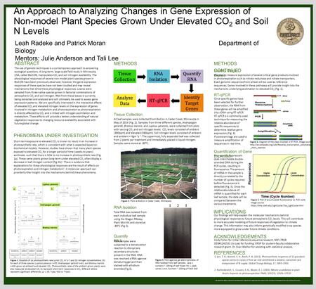 We thank the Office of Research and Sponsored Programs for supporting this research, and Learning & Technology Services for printing this poster. An Approach.