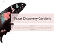 Texas Discovery Gardens Team 2 John Bloom, Michael Hebron, Lucy Gonzalez, Matthew Harden.