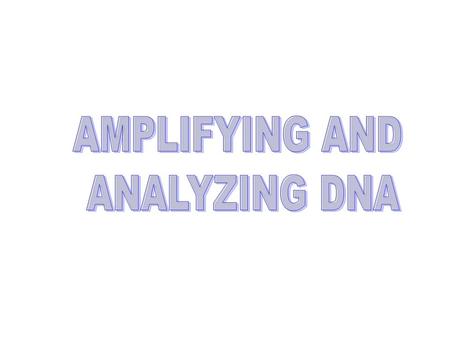 AMPLIFYING DNA A.Recombinant DNA B.Polymerase Chain Reaction (PCR) (animation)