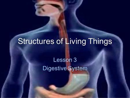 Structures of Living Things Lesson 3 Digestive System.