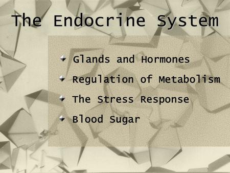 The Endocrine System Glands and Hormones Regulation of Metabolism The Stress Response Blood Sugar.