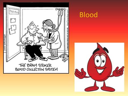 Blood. Function Transport dissolved materials Regulates pH & electrolyte balance in interstitial fluid Restriction of blood loss Stabilizes body temperature.