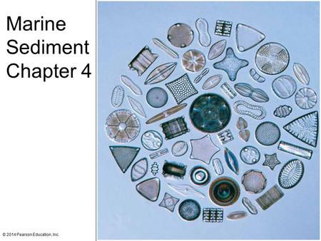 Marine Sediment Chapter 4.