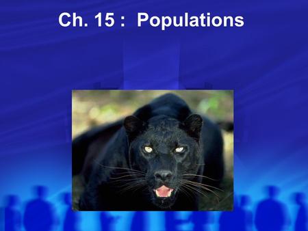 Ch. 15 : Populations. What is a Population? Populations **Population: All individuals of a species living in a certain place Growth? Birth of offspring.