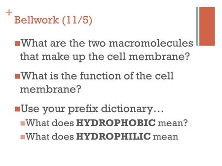 + Bellwork (11/5) What are the two macromolecules that make up the cell membrane? What is the function of the cell membrane? Use your prefix dictionary…