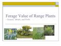 Forage Value of Range Plants ~ Grasses, Shrubs, and Forbs