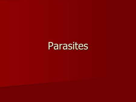 Parasites. Symbiotic Relationships Symbiosis- animals of different species that live in close association with each other Symbiosis- animals of different.