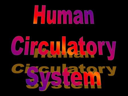 Human Circulatory System: Also known as the cardio-vascular system It is a closed system, which means that blood is confined within vessels.