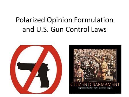 Polarized Opinion Formulation and U.S. Gun Control Laws.