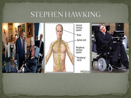 NEXT Stephen William Hawking(born 8 January 1942) is a British theoretical physicist. He is known for his contributions to the fields of cosmology and.