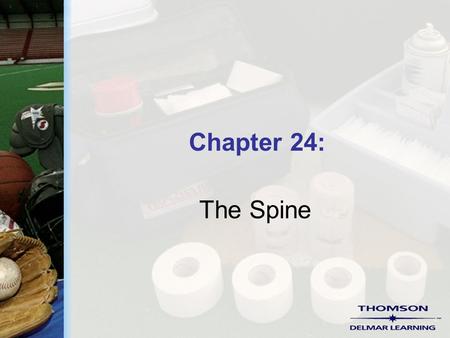 Chapter 24: The Spine. Copyright ©2004 by Thomson Delmar Learning. ALL RIGHTS RESERVED. 2 Reflexes  Many of the body’s reflexes allow for testing of.