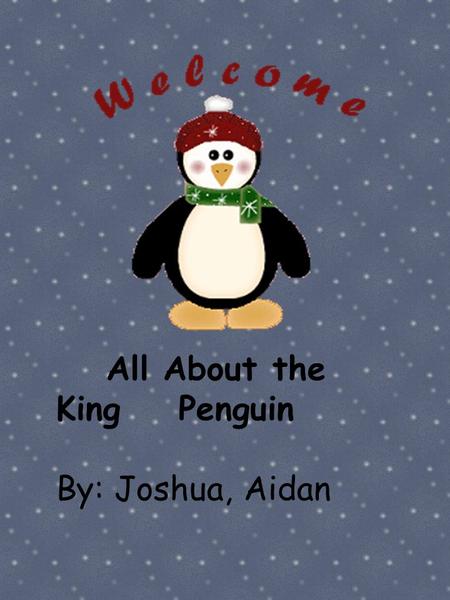 All About the King Penguin By: Joshua, Aidan. By: Joshua & Aidan.