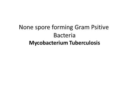 None spore forming Gram Psitive Bacteria Mycobacterium Tuberculosis