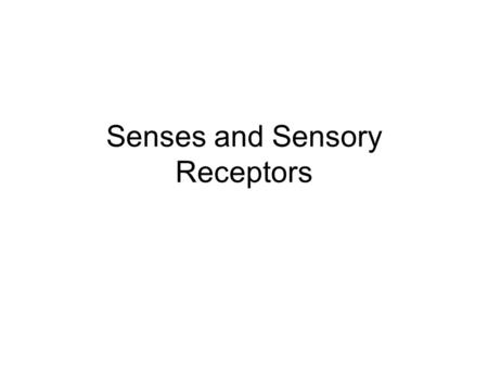 Senses and Sensory Receptors. 5 major senses –Sight –Hearing –Taste –Smell –Touch Provide information from outside which stimulates the sensory nerves.