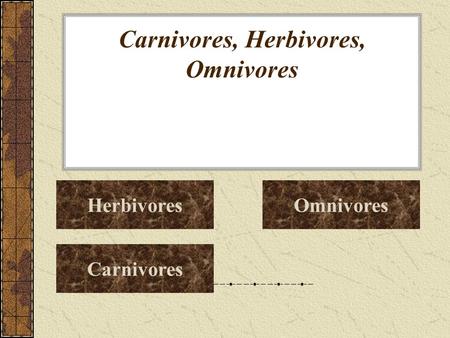 Carnivores, Herbivores, Omnivores Herbivores Carnivores Omnivores.