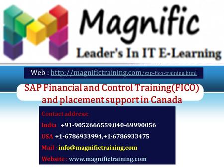 LOGO SAP Financial and Control Training(FICO) and placement support in Canada Web :  /sap-fico-training.htmlhttp://magnifictraining.com.