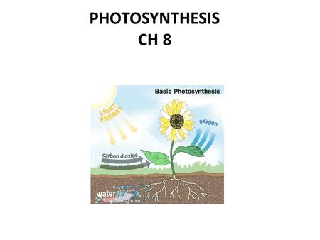 PHOTOSYNTHESIS CH 8. I. How organisms obtain food Without the ability to obtain and use energy, life would cease to exist.