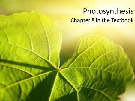 Photosynthesis Chapter 8 in the Textbook. Chemical Energy and ATP What type of organic macromolecule is shown in the diagram? The in the diagram label.