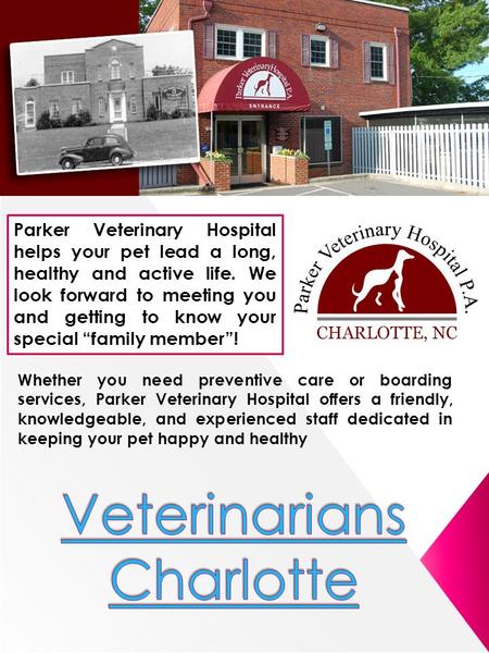 Parker Veterinary Hospital helps your pet lead a long, healthy and active life. We look forward to meeting you and getting to know your special “family.