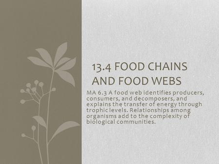 MA 6.3 A food web identifies producers, consumers, and decomposers, and explains the transfer of energy through trophic levels. Relationships among organisms.