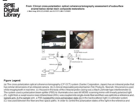 Date of download: 6/9/2016 Copyright © 2016 SPIE. All rights reserved. (a) The cross-polarization optical coherence tomography (CP-OCT) system (Santec.