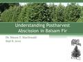 Understanding Postharvest Abscission in Balsam Fir Dr. Mason T. MacDonald Sept 8, 2012.