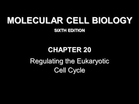 MOLECULAR CELL BIOLOGY SIXTH EDITION MOLECULAR CELL BIOLOGY SIXTH EDITION Copyright 2008 © W. H. Freeman and Company CHAPTER 20 Regulating the Eukaryotic.