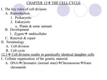 CHAPTER 12  THE CELL CYCLE I. The key roles of cell division A. Reproduction 1. Prokaryotic 2. Eukaryotic a. Plants & some animals B. Development 1. Zygote.