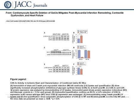 Date of download: 6/9/2016 Copyright © The American College of Cardiology. All rights reserved. From: Cardiomyocyte-Specific Deletion of Gsk3α Mitigates.