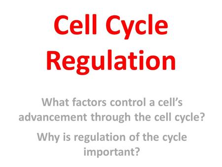 Cell Cycle Regulation What factors control a cell’s advancement through the cell cycle? Why is regulation of the cycle important?