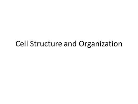 Cell Structure and Organization. Learning Objectives State that living organisms are made of cells Identify and describe the structure of a plant cell.