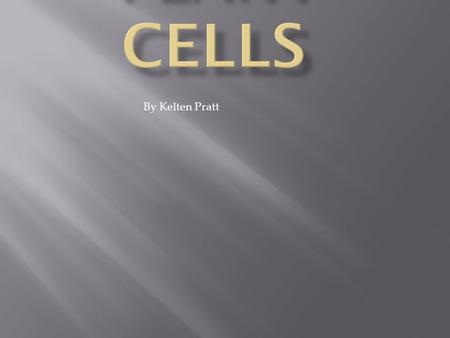 By Kelten Pratt. The cell wall is a tough rubbery wall that protects the inner organs but sometimes fairly rigid layer that surrounds some types of cells.