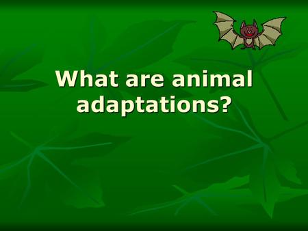 What are animal adaptations?. An adaptation is an inherited characteristic which enable an organism to survive and reproduce in a particular environment.