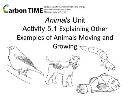 Carbon: Transformations in Matter and Energy Environmental Literacy Project Michigan State University Animals Unit Activity 5.1 Explaining Other Examples.