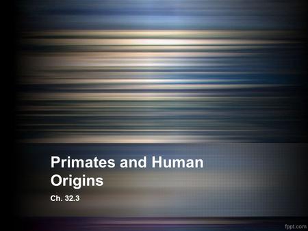 Primates and Human Origins Ch. 32.3. PRIMATES/PRIMATA (order) means FIRST Increased ability to use eyes and front limbs to perform tasks Binocular vision,