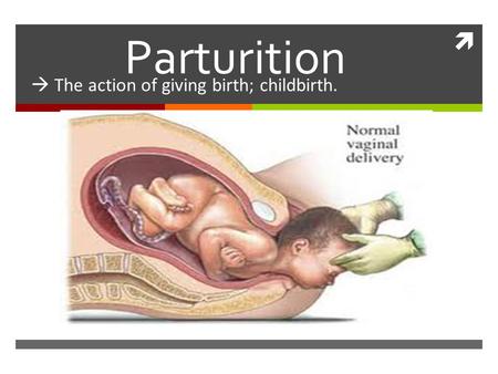  The action of giving birth; childbirth.