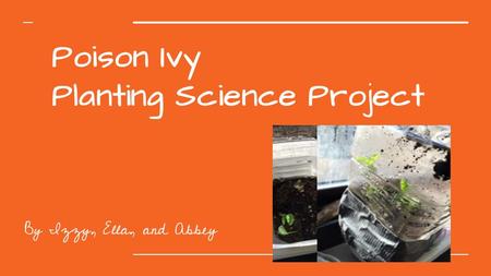 Poison Ivy Planting Science Project By Izzy, Ella, and Abbey.