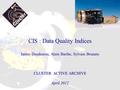 CIS : Data Quality Indices Iannis Dandouras, Alain Barthe, Sylvain Brunato CLUSTER ACTIVE ARCHIVE April 2012.