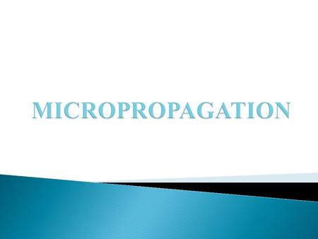 MICROPROPAGATION.