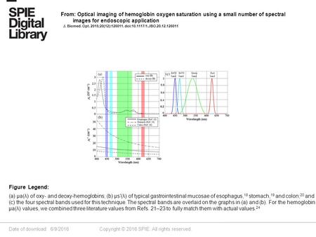 Date of download: 6/9/2016 Copyright © 2016 SPIE. All rights reserved. (a) μa(λ) of oxy- and deoxy-hemoglobins; (b) μs′(λ) of typical gastrointestinal.