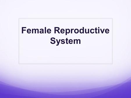 Female Reproductive System. Functions 1. Produce sex hormones – examples: estrogen and progesterone 2. Produce eggs- also known as ova; reproductive.