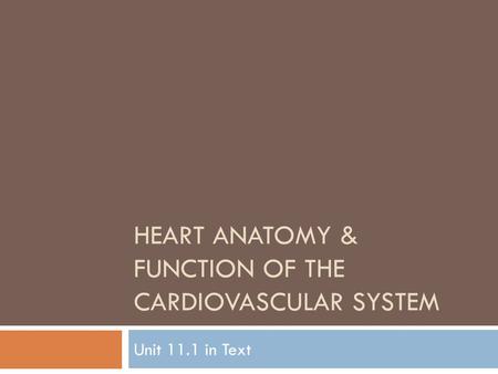 HEART ANATOMY & FUNCTION OF THE CARDIOVASCULAR SYSTEM Unit 11.1 in Text.