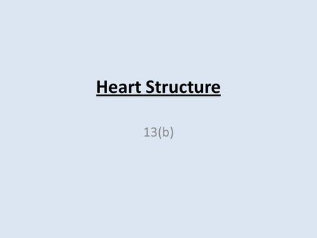 Heart Structure 13(b). Overview of the Heart – The heart is composed of cardiac muscle tissue. – The heart is about the size of a human fist. –