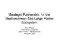 Strategic Partnership for the Mediterranean Sea Large Marine Ecosystem Paul Mifsud UNEP/MAP Coordinator GEF 3 rd IWC - UNEP Session 24 th June, 2005.