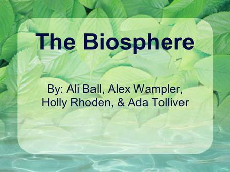 The Biosphere By: Ali Ball, Alex Wampler, Holly Rhoden, & Ada Tolliver.