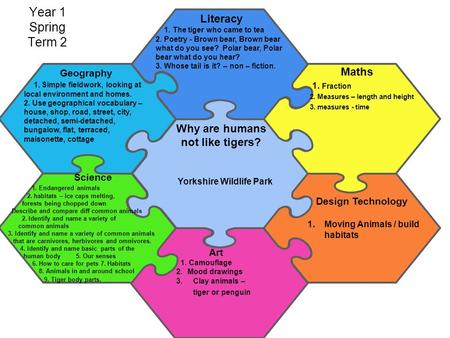 Art Year 1 Spring Term 2 Yorkshire Wildlife Park Literacy 1. The tiger who came to tea 2. Poetry - Brown bear, Brown bear what do you see? Polar bear,